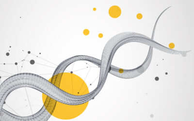 Employer Value Proposition (EVP): Warum Differenzierung überschätzt ist – und Ehrlichkeit gewinnt